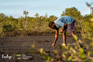 Tree planting